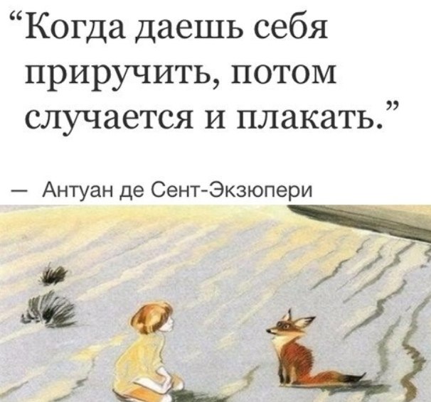 Слово укротить. Приручить цитаты. Когда приручишь потом случается и плакать.