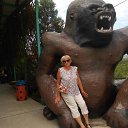 ������ ����..