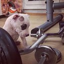 ���� �������, ������, 59 ��� - ��������� 19 ������� 2018 � ������ ���� ����������