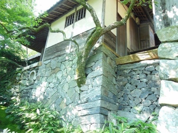   ,     ,   ,     ... - 4