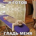 ���� Voldemar, �����-���������, 47 ��� - ��������� 1 ������� 2018 � ������ ���� ����������