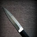  Sebastian, , 54  -  19  2019    