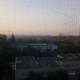 ����, ������