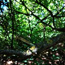 ���� �������, ������, 40 ��� - ��������� 17 ���� 2018 � ������ ���� ����