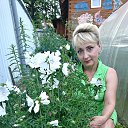 ���� �����, �������, 54 ���� - ��������� 1 ������� 2018 � ������ ���� ����������