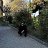  Giorgi, , 35  -  22  2018