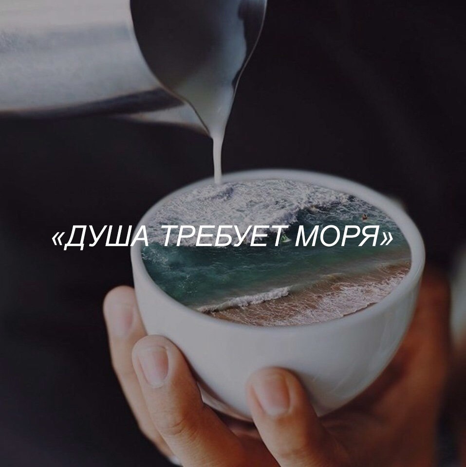 BEST | , ,  - 17  2018  02:42