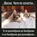 ���� ������, ����, 53 ���� - ��������� 17 ������ 2018 � ������ ���� ����������