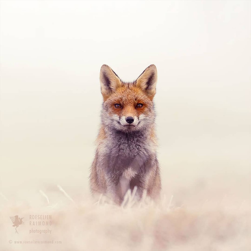 #@https://fotostrana.ru/away?to=/sl/NWB4 Emma Taggart - 5