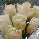 ���� ���������, ����������� - ��������� 7 ������ 2019 � ������ ���� ����������