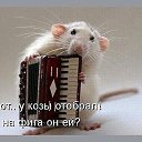  Elena kras,  -  16  2018    