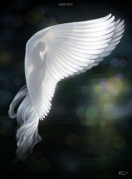  - ...   ,   ,    .   ,   ...