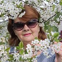 ���� �����, ���������, 68 ��� - ��������� 7 �������� 2018 � ������ ���� ����������