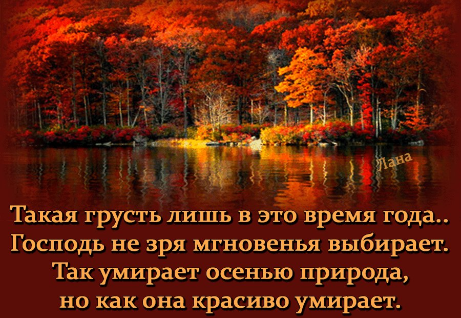  , , -,   -,    ,   ... - 2