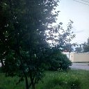 ���� ���������, �������, 27 ��� - ��������� 23 ������ 2019 � ������ ���� ����������