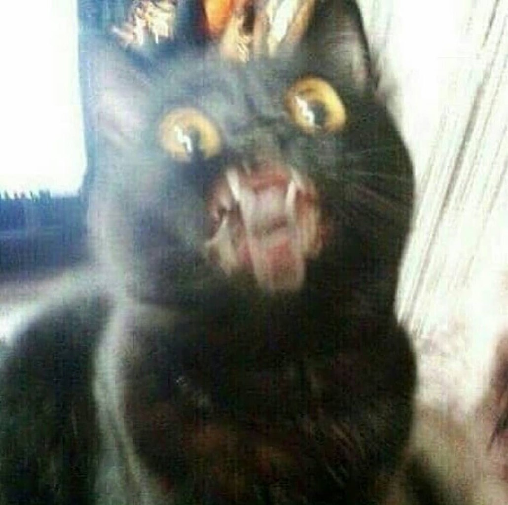    : - 9