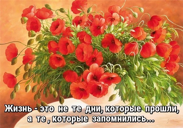  (   ) - 25  2019  05:52