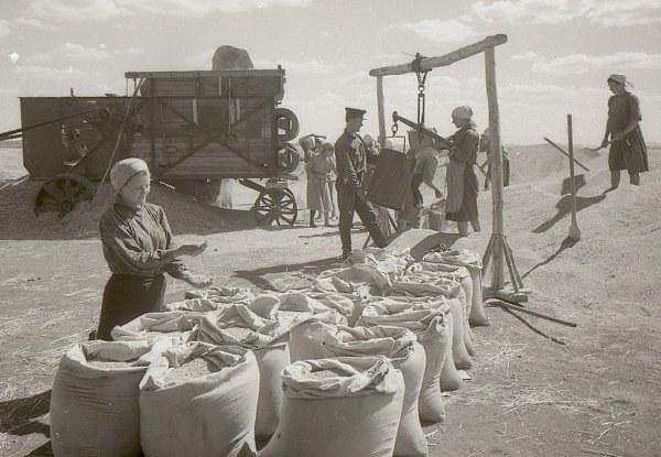 Колхоз «Путь Ленина» (село Васильевка, Ставропольский район, Куйбышевская область) на фотографиях ... - 7