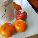 ���� ���������, ������ - ��������� 24 ������� 2018 � ������ ���� ����������