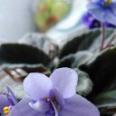 ���� �������, ������� - ��������� 1 ������� 2018 � ������ �������� �������.�