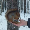 ���� ������, ������������ - ��������� 27 ����� 2019 � ������ ������