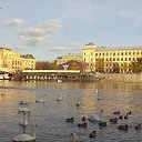 ���� �������, ��������, 44 ���� - ��������� 26 ������ 2018 � ������ ������