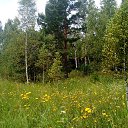 ���� ����, �����������, 54 ���� - ��������� 2 ������� 2018 � ������ ���� ����������