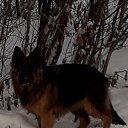 ���� ���������, ������������, 60 ��� - ��������� 28 ������ 2018 � ������ �������