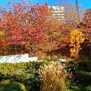 U-jin, , 53  -  24  2018    -