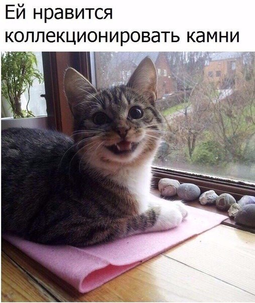    - 19  2018  16:36