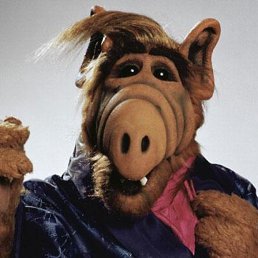 ����, ������, 56 ���