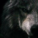 ���� �������, �������������, 44 ���� - ��������� 24 ������� 2018 � ������ ���� ����������