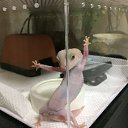 ���� Abigayle, �������� - ��������� 23 ������� 2019 � ������ ���� ����������