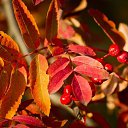 ���� Aleksa, ������, 30 ��� - ��������� 25 ������� 2018 � ������ ������ ��������