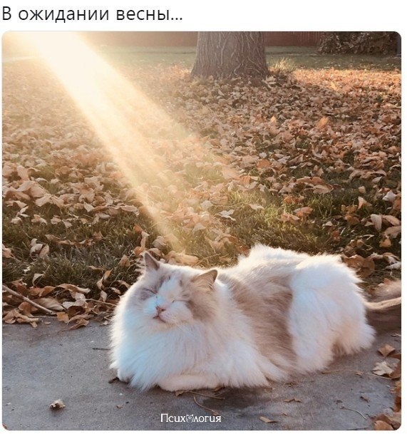  - 22  2019  16:55