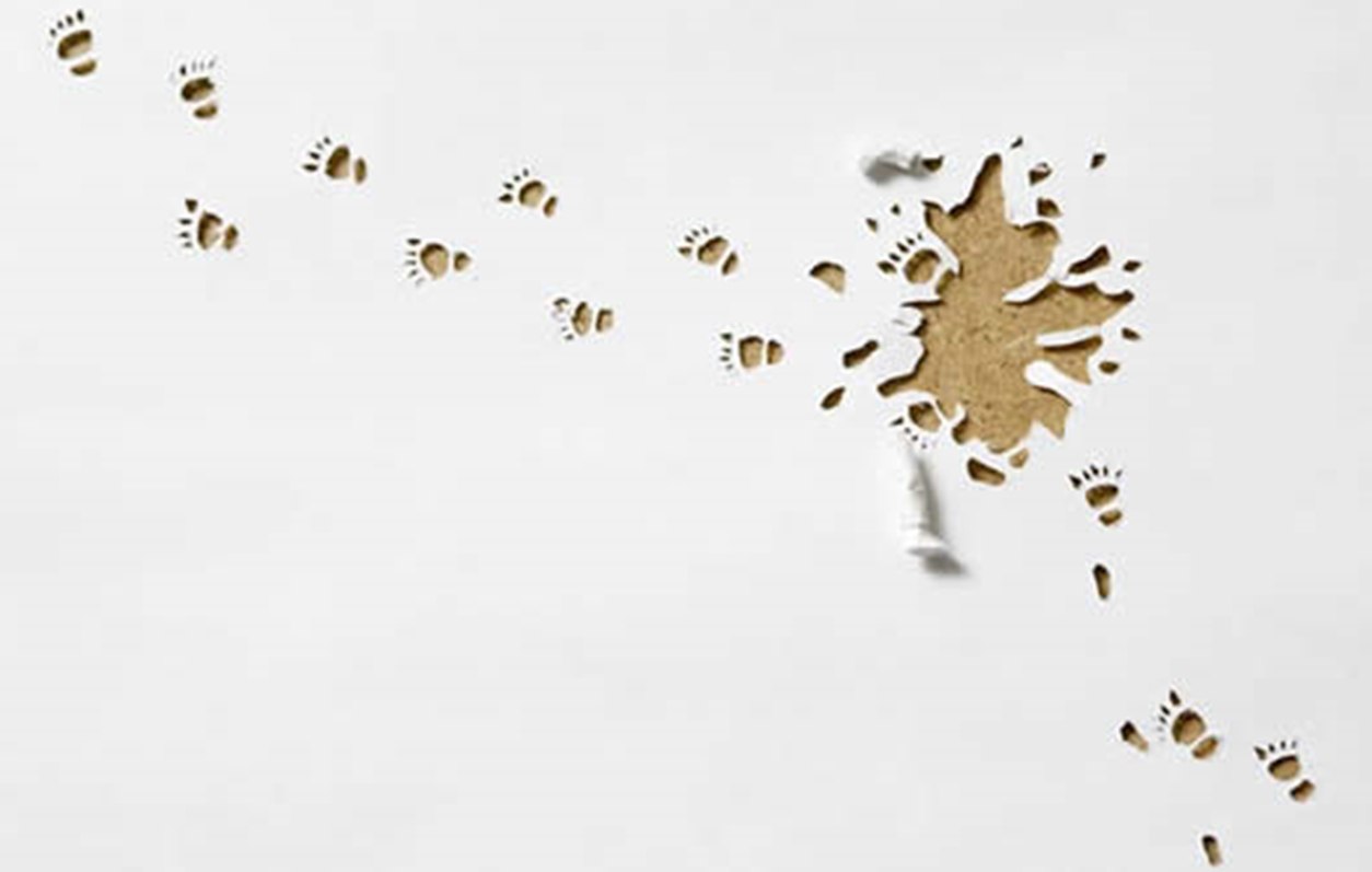  - 25  2018  15:29 - 5