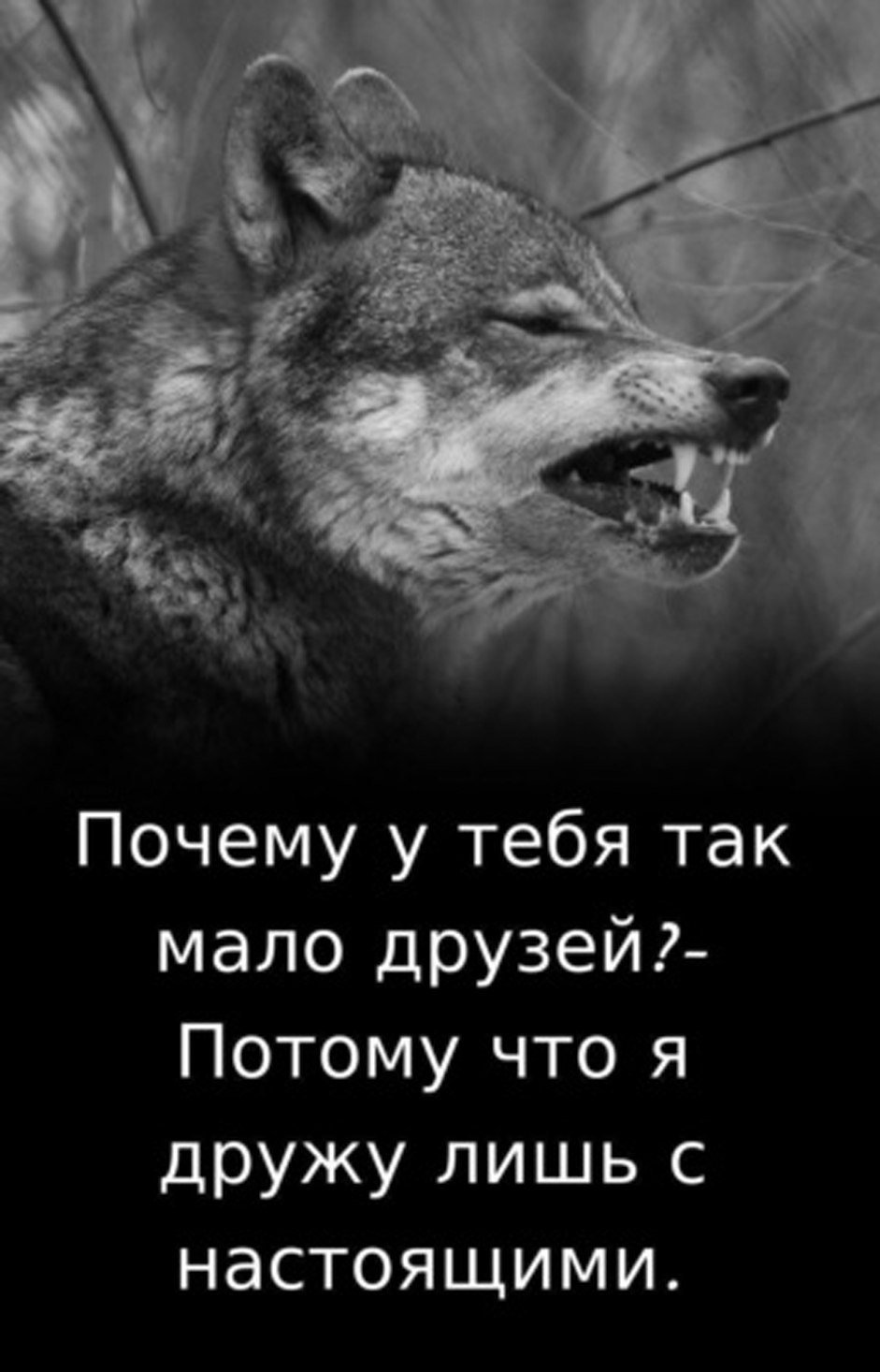  - 25  2019  04:18
