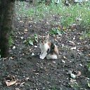 ���� ����, ��������, 42 ���� - ��������� 19 ������� 2018 � ������ ���� ����������