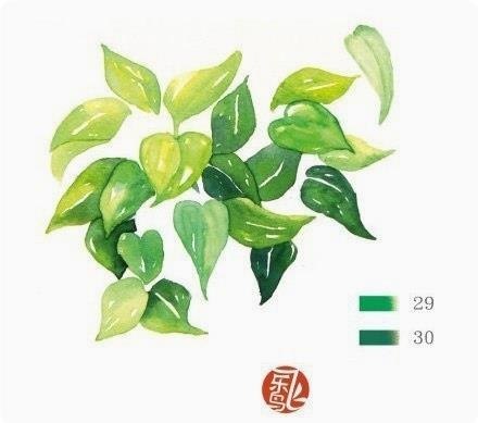 Aape apop - 3