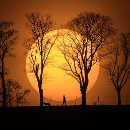 ���� ����, ������, 41 ��� - ��������� 23 ������ 2018