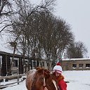 ���� �������, ����������-���������, 54 ���� - ��������� 22 ������� 2018 � ������ ���������� ������