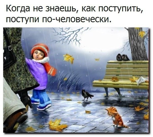  - 16  2018  16:32