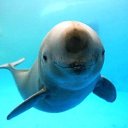 ���� �����, ��������� - ��������� 22 ������� 2018 � ������ ����� -- ��� ���� !!!!!!!!!!�