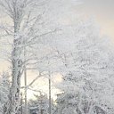 ���� �����, ����, 65 ��� - ��������� 25 ������� 2018 � ������ ������ ��������