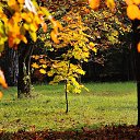 ���� ���������, �������, 66 ��� - ��������� 19 ������� 2018 � ������ ������ ��������