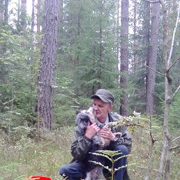 ���������, �����-���������, 70 ���