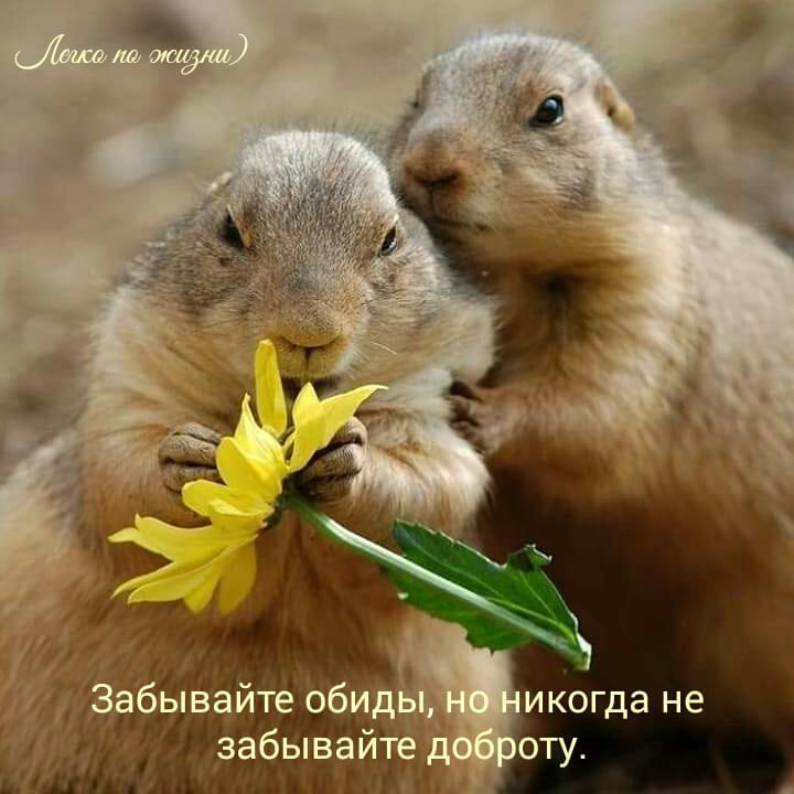   - 6  2019  19:08