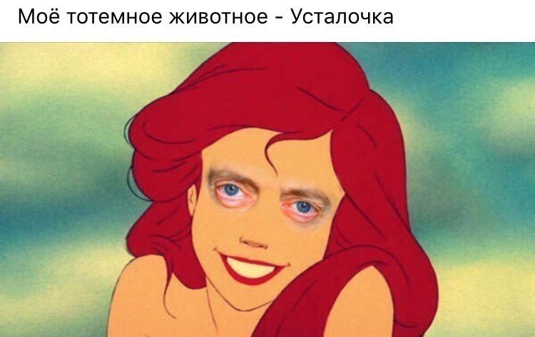    - 16  2018  02:58