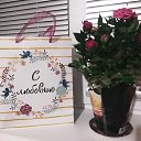 ���� �������, ���������� - ��������� 9 ����� 2019 � ������ ���� ����������