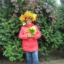 ���� �������, ��������� - ��������� 4 ������� 2019 � ������ ���� ����������